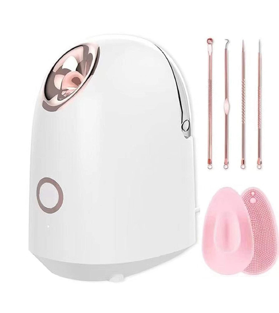 Electric Home Hot Mist Nano Spray Empty Facial Steamer